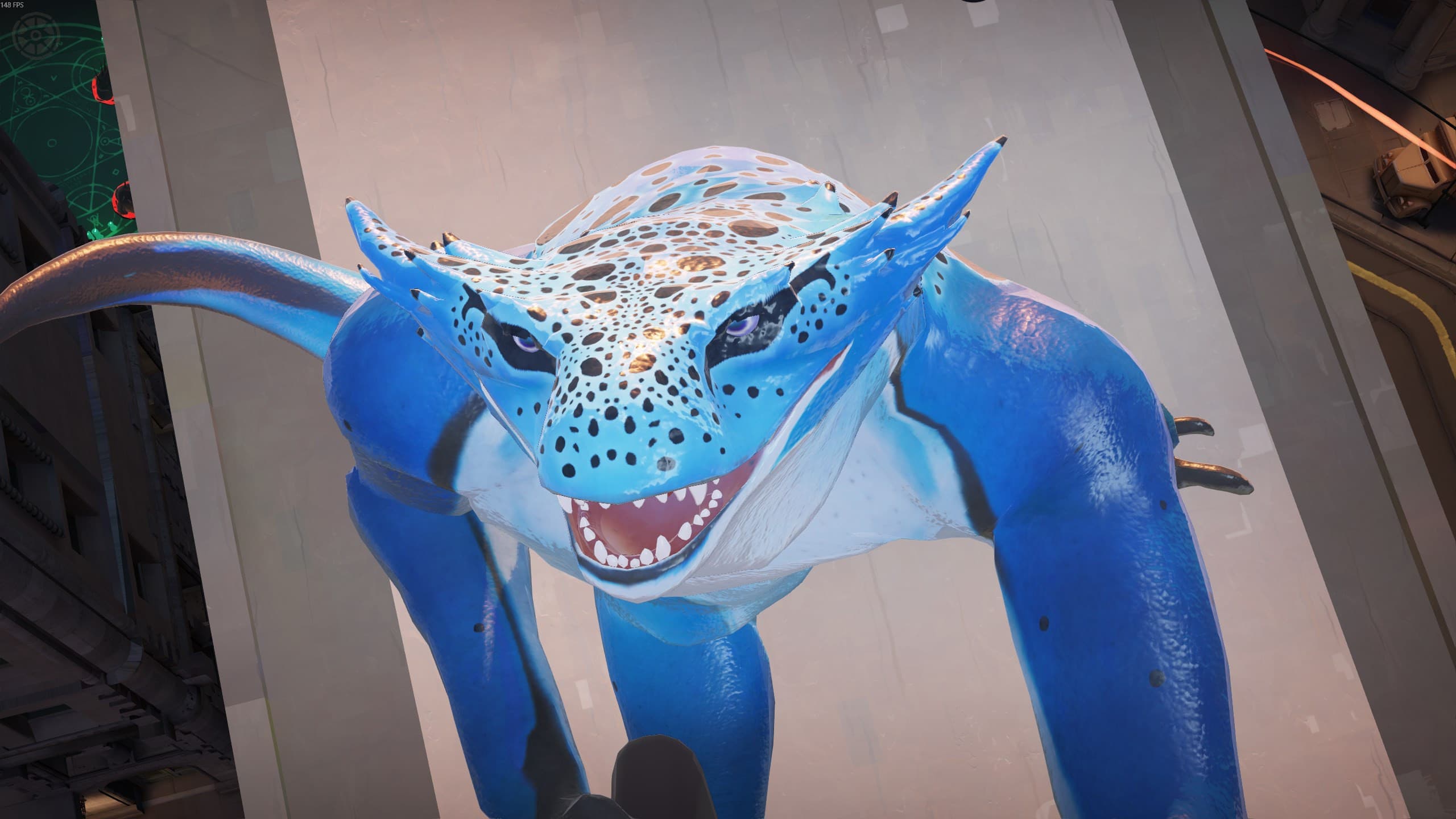 Poison Dart Frog Vyper