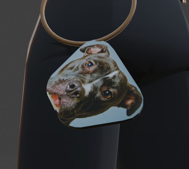 Doorbull (Pitbull Doorman) screenshot 3