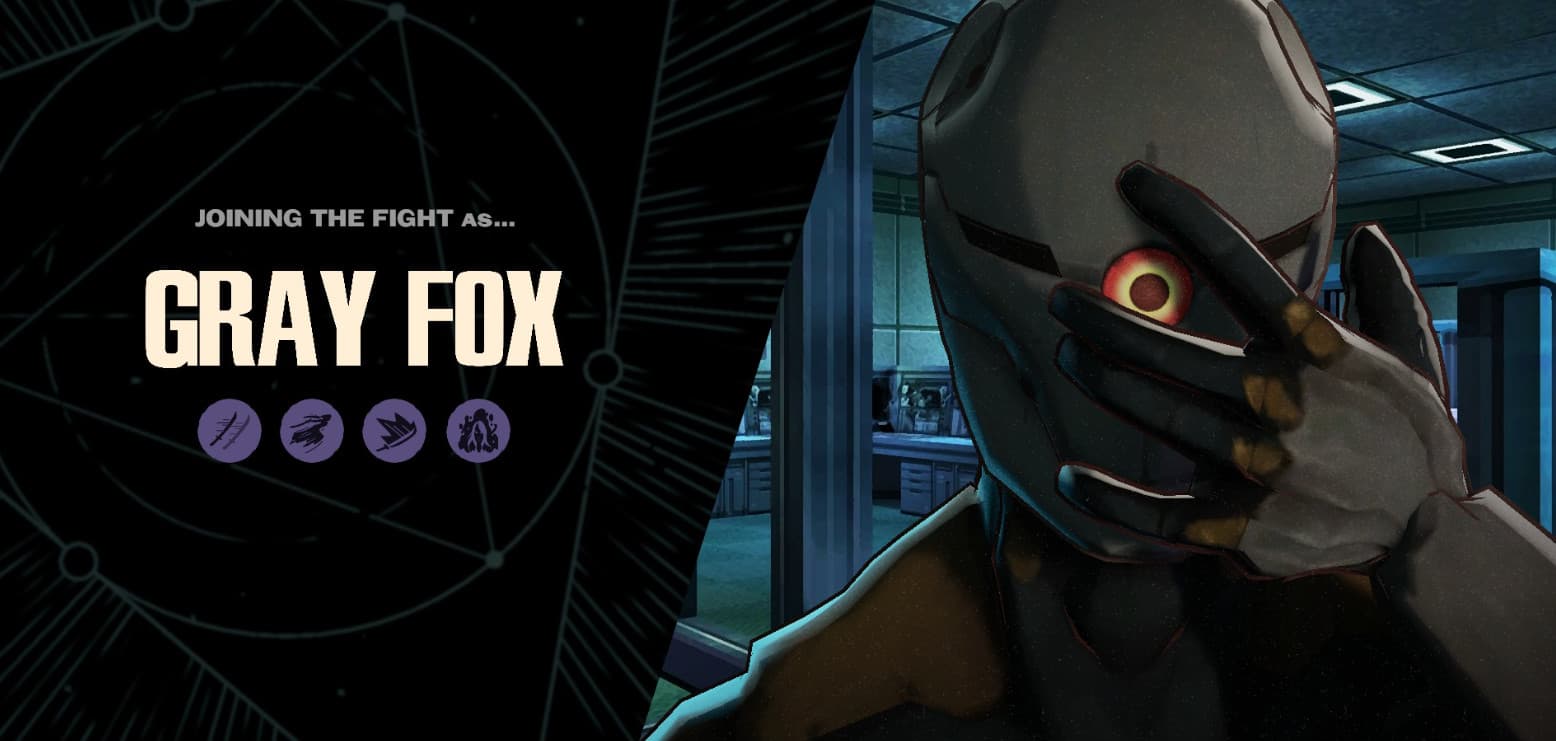 GRAY FOX / Yamato