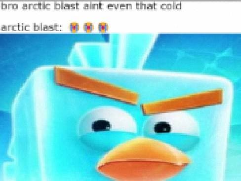 Icebird over Arctic Blast screenshot