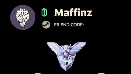 Rank Badges in Player/Friends Profiles. Statlocker screenshot