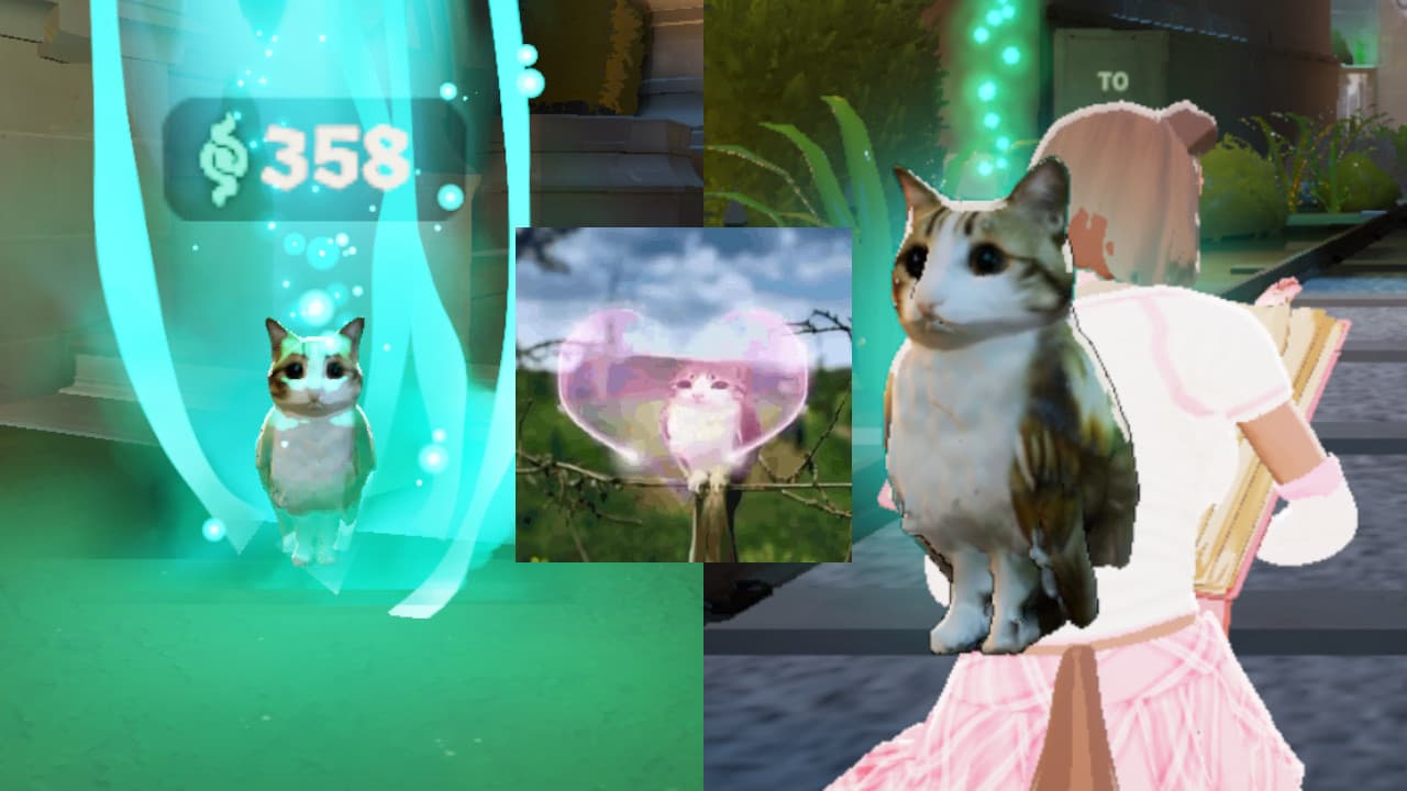 Meowl Soul Urn screenshot