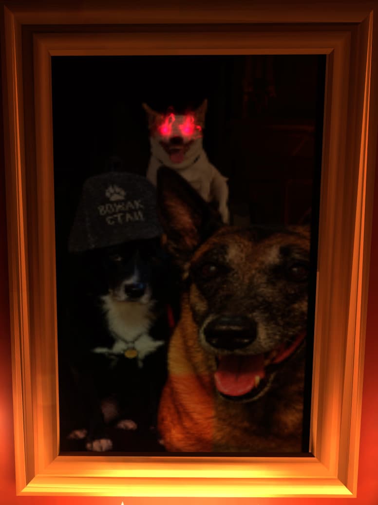 Dog Pictures In Hideout screenshot