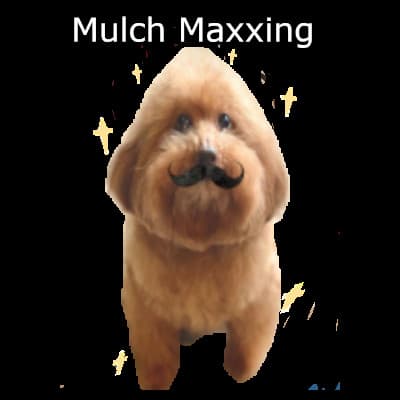 Mulch Dog Lash (Full Lash Icon Update) screenshot 5